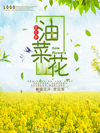 简约清新油菜花赏花季海报