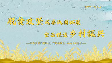 脱贫攻坚成果巩固全面推进乡村振兴党建展板