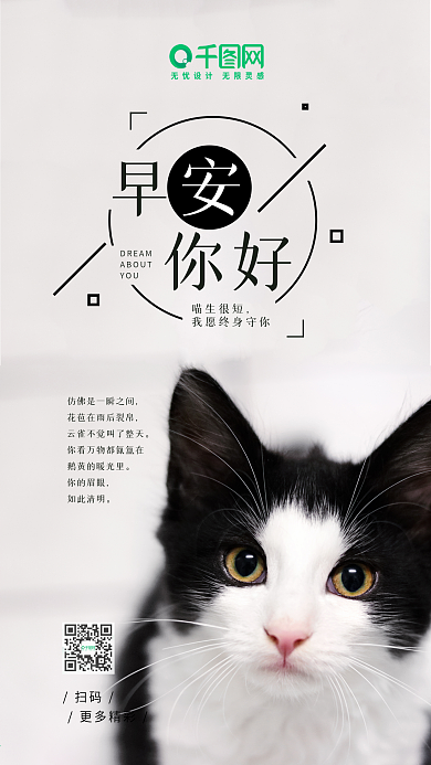 早安你好白色牛奶猫咪手机海报