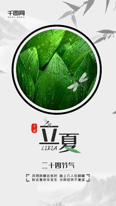 清新简约二十四节气立夏手机用图