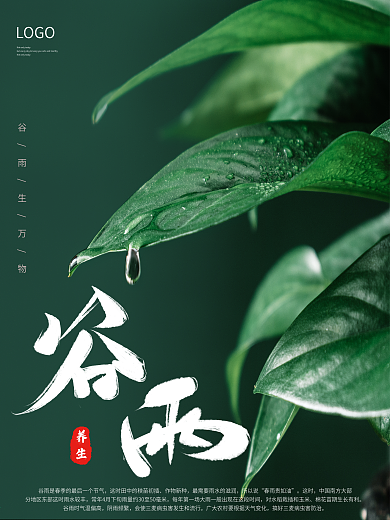 谷雨创意简约传统节气海报