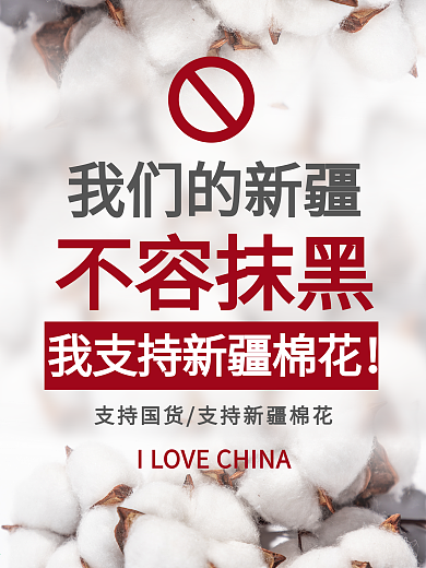 简约风我们的新疆不容抹黑海报