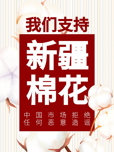 我们支持新疆棉花简约海报