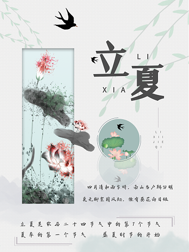 荷花立夏节气海报