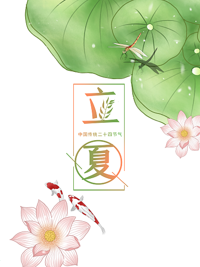 荷花池中锦鲤立夏节气海报