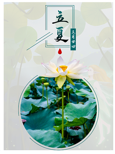 24节气立夏夏天海报宣传