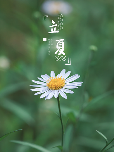 清爽夏天二十四节气立夏