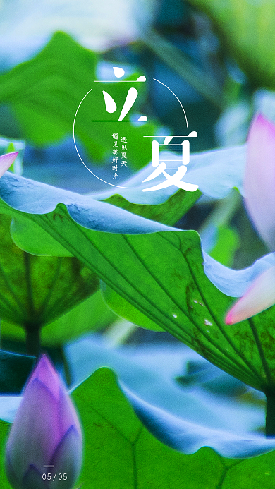 立夏夏至节日节气推广图开屏手机海报