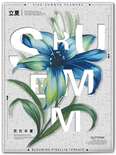 简约小清新花卉与文字排版立夏节日海报