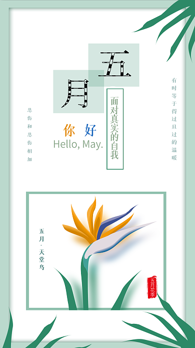 原创清新五月你好天堂鸟背景配图