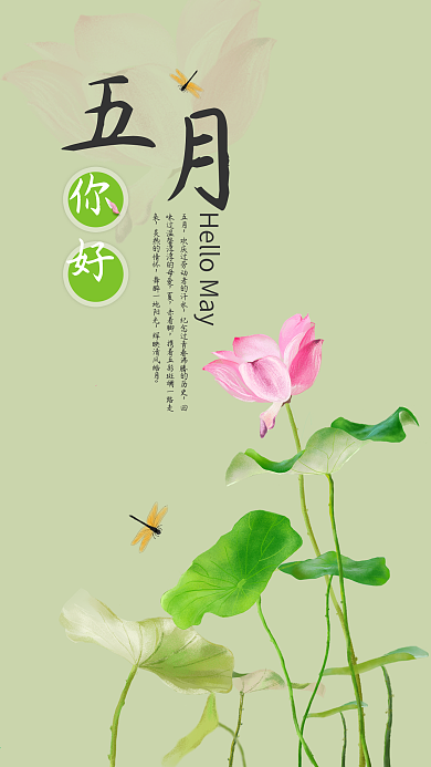 五月你好小清新荷花手机海报