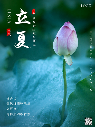 立夏荷花植物传统节气节日宣传爱宝