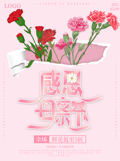 母亲节康乃馨花店促销折扣海报