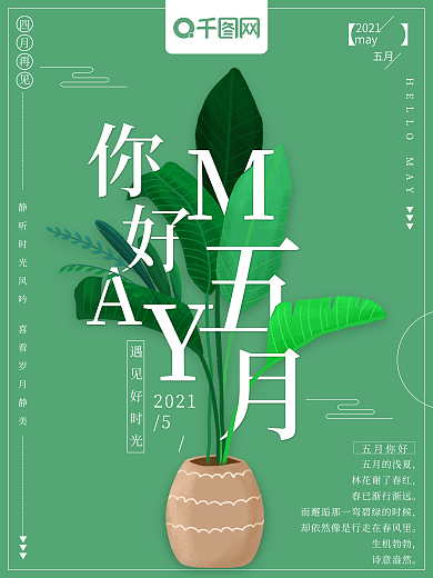 花卉与艺术字排版你好五月主题海报