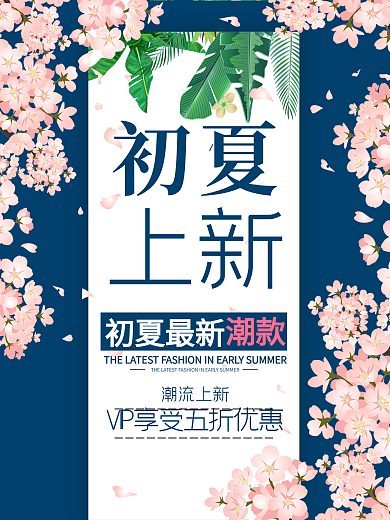 创意小清新风格初夏上新海报
