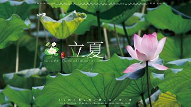 摄影图立夏节日展板