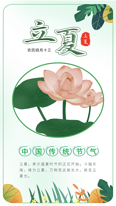 立夏节气夏日荷花植被背景插画海报