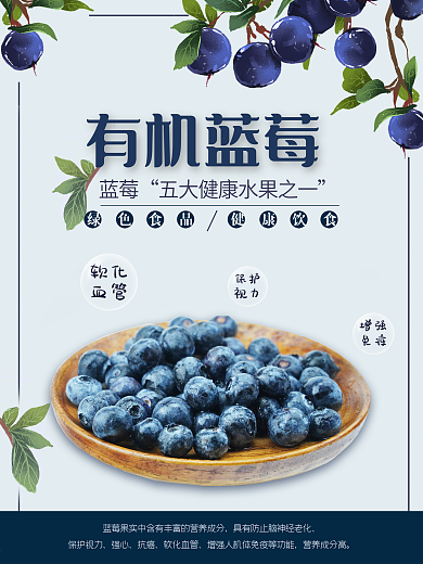 简约 新鲜水果海报 宣传海报 蓝莓海报