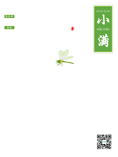 小清新油菜花传统节气小满节气海报