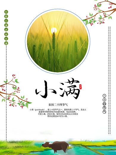 二十四节气之小满节气海报