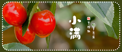 小满公众号封面红了樱桃绿了芭蕉