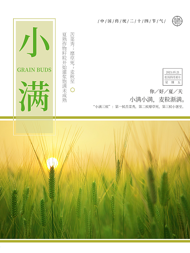二十四节气之小满节气海报