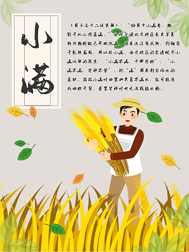 小满传统节气海报