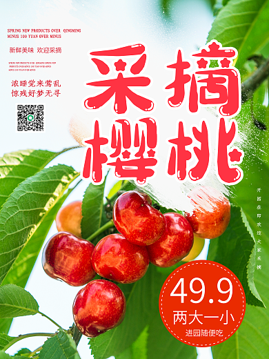 采摘樱桃宣传海报果园活动展架樱桃采摘素材