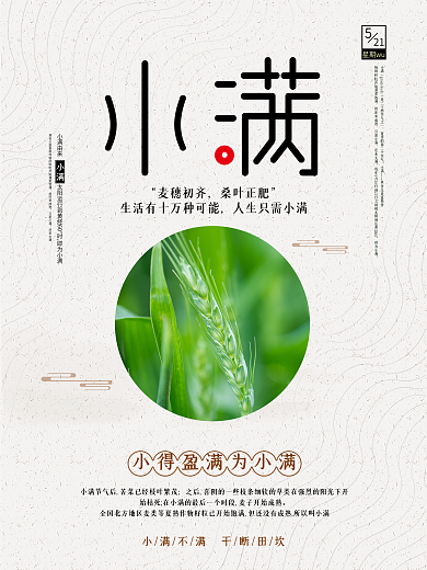 简约24节气小满海报