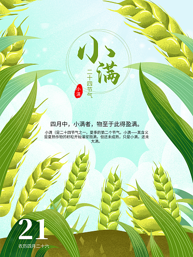 清新二十四节气小满麦穗插海报