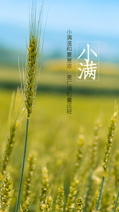 小满新媒体手机海报公众号封面