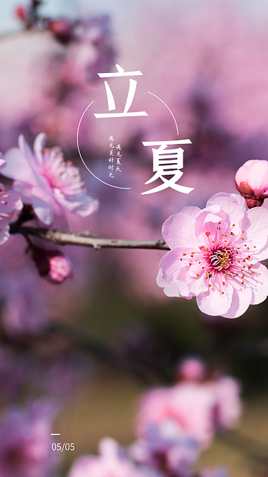 立夏春分立春简约写实开屏h5手机海报