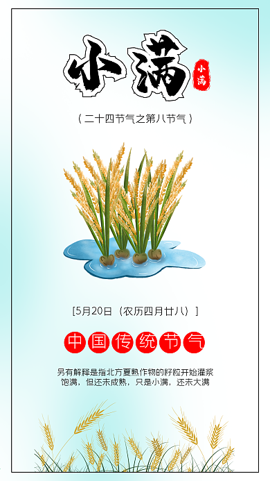 小满绿色未成熟麦穗插画海报配图