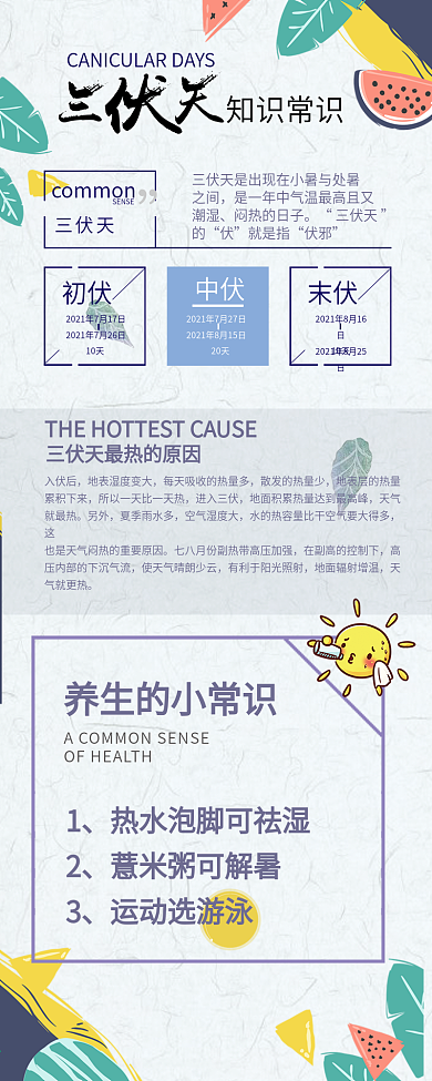 清新三伏天知识常识信息长图