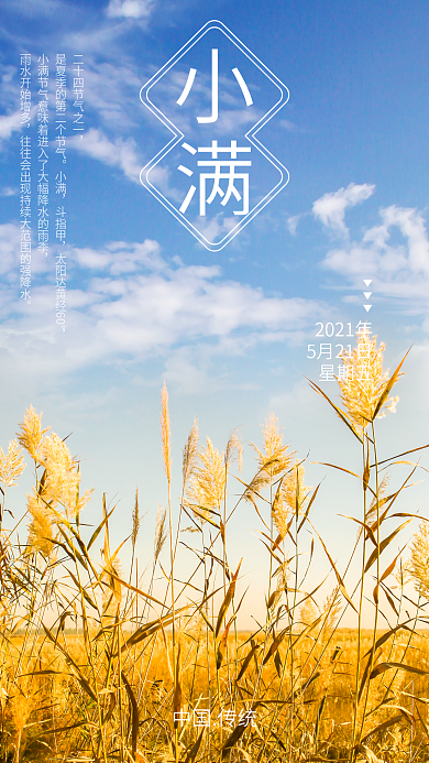 二十四节气小满新媒体海报