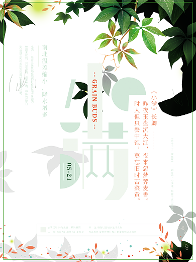 小清新小满节气宣传海报