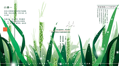 原创手绘小满节气展板