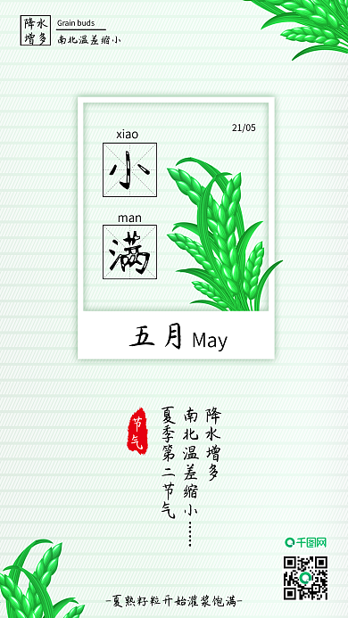 原创清新小满节气谷粒未成熟背景配图