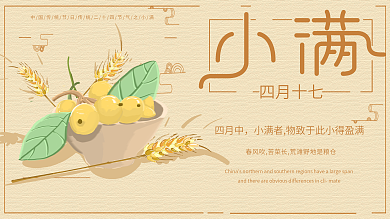 原创插画暖色调小清新小满节气主题展板