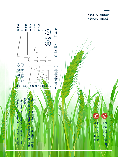 原创手绘简约小满节气海报