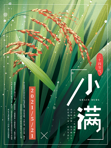 原创手绘小满节气海报