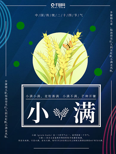 小满二十四节气节气海报