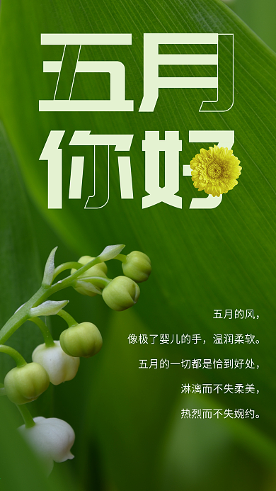 五月你好绿色清新海报手机用图