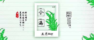原创清新小满节气谷粒未成熟背景配图
