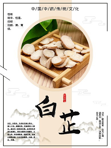 中国风中医养生中药文化白芷海报