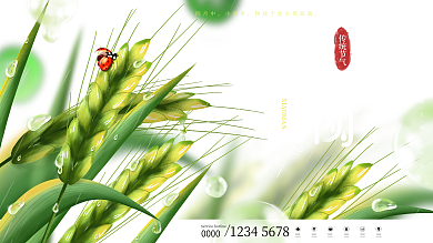 原创插画二十四节气小满节日展板