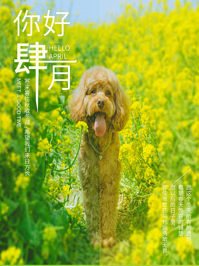 四月你好摄影图海报