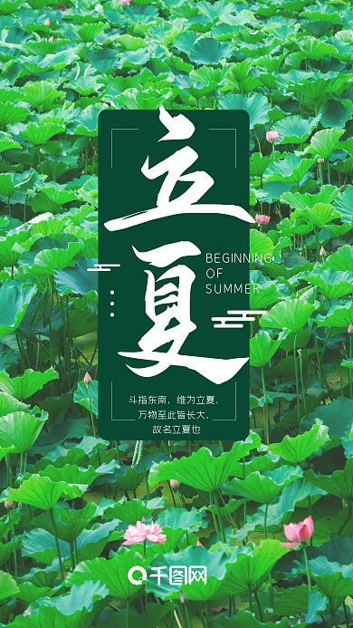 立夏荷花池手机海报