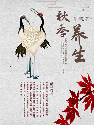 简洁中国风秋季养生海报