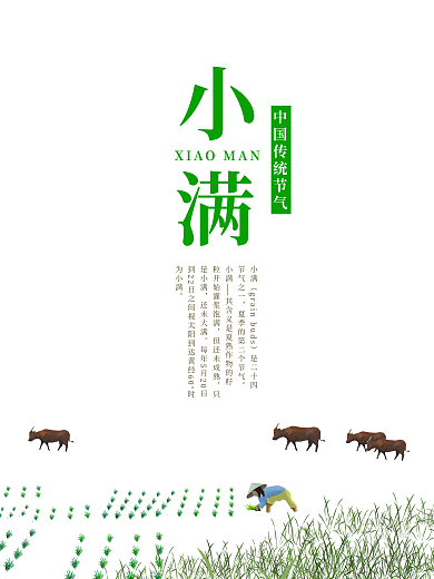 二十四节气之小满节气海报
